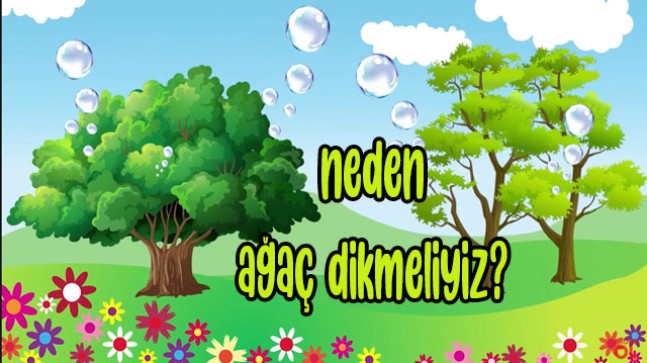 Neden ağaç dikmeliyiz?